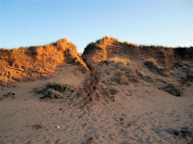 Beach view at Grand Chalet