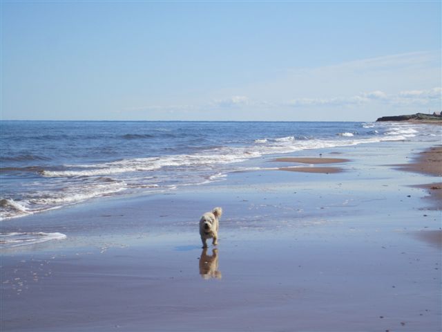 Beach view at Grand Chalet