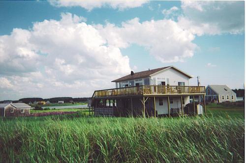 View of Mostly Dune from the beach path
